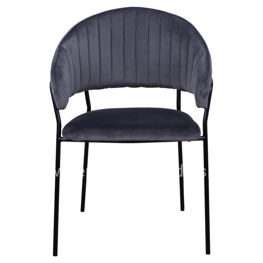 Armchair Theodore HM8520.01 from velvet grey with metallic frame 55x50x82cm